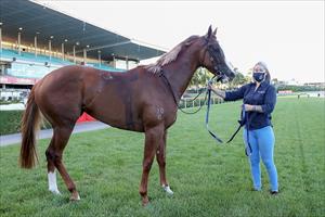 Sayumi & Rhiannon, Moonee Valley 4 Dec 2020